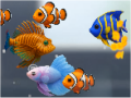 Evo Fish【水槽の魚のマージ＆放置ゲーム】