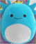 サンショウウオ