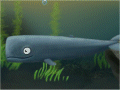 Deep and Blue【クジラのアドベンチャー】